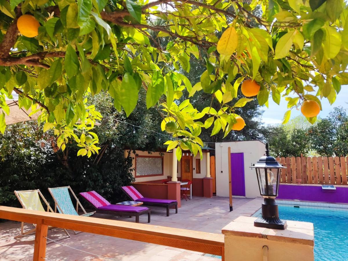 Apartamento El Grifo Carmona  Exterior foto